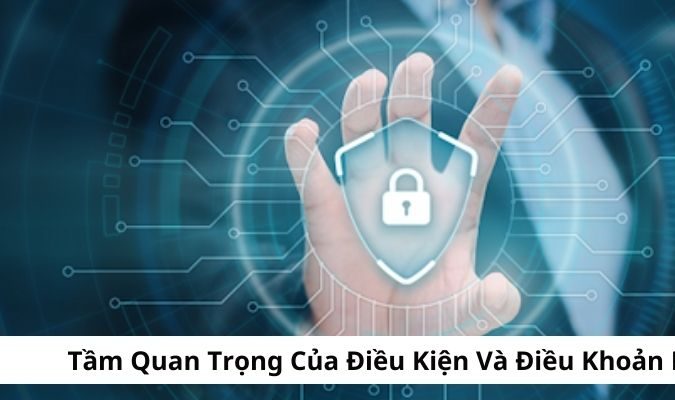 Điều kiện và điều khoản OKKING có vai trò quan trọng tại sân chơi